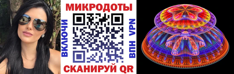 Псилоцибиновые грибы Psilocybine cubensis  Поворино 